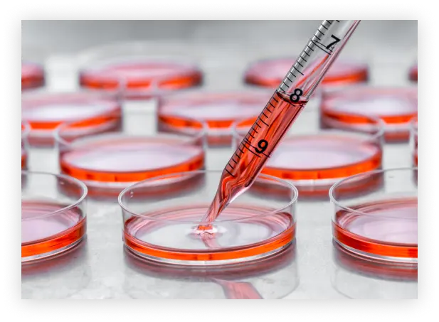 Cell Therapy Manufactoring