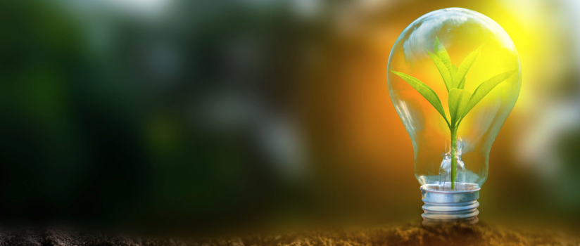 Renewable Energy
