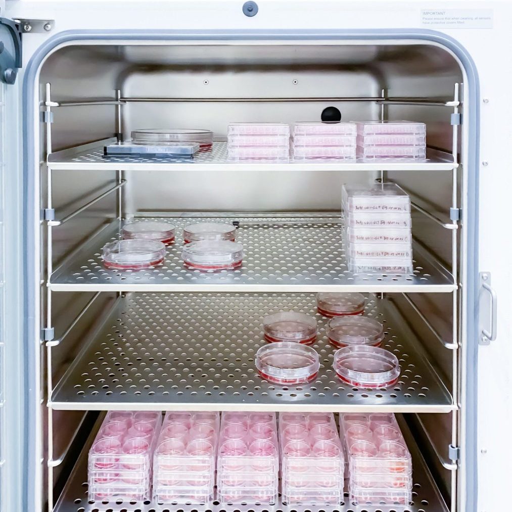 incubator environmental monitoring